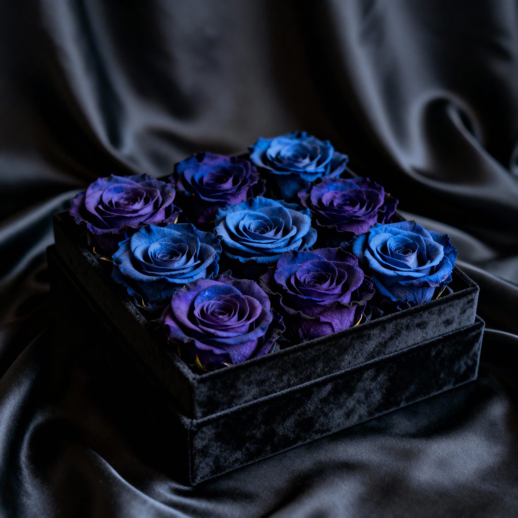 Blue roses in luxury velvet gift box representing rare genetically engineered flowers