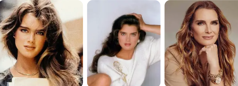 Brooke Shields Net Worth Origin Story