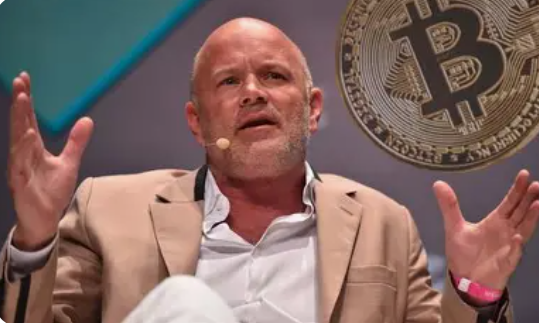 Michael Novogratz