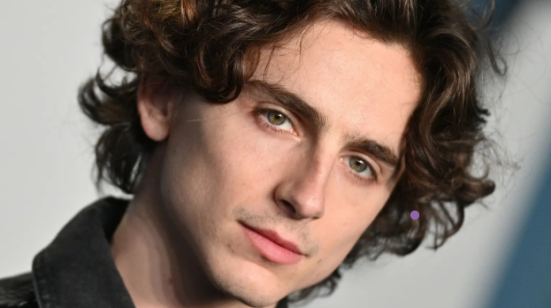 Timothée Chalamet Net Worth 2025
