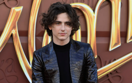 Timothée Chalamet Net Worth 2025