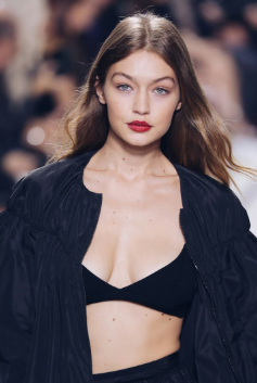 Gigi Hadid Net Worth 2025