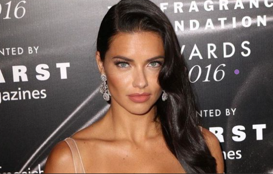 Adriana Lima Net Worth 2025