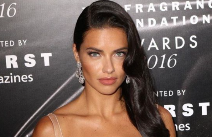 Adriana Lima Net Worth 2025