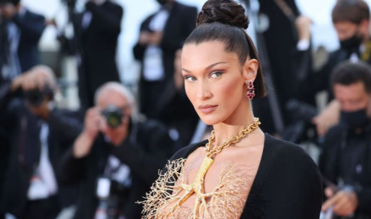 Bella Hadid Net Worth 2025