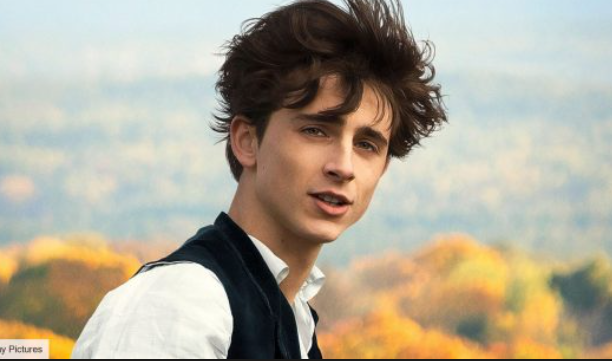 timothée chalamet