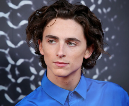 timothée chalamet