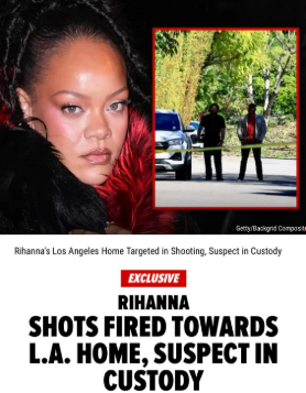 Rihanna's Shooter Incident