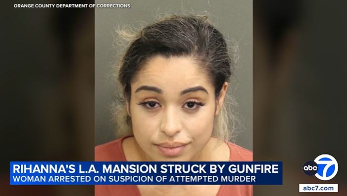 Rihanna's Shooter Incident