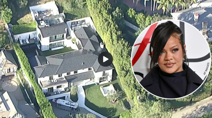 Rihanna's Shooter Incident