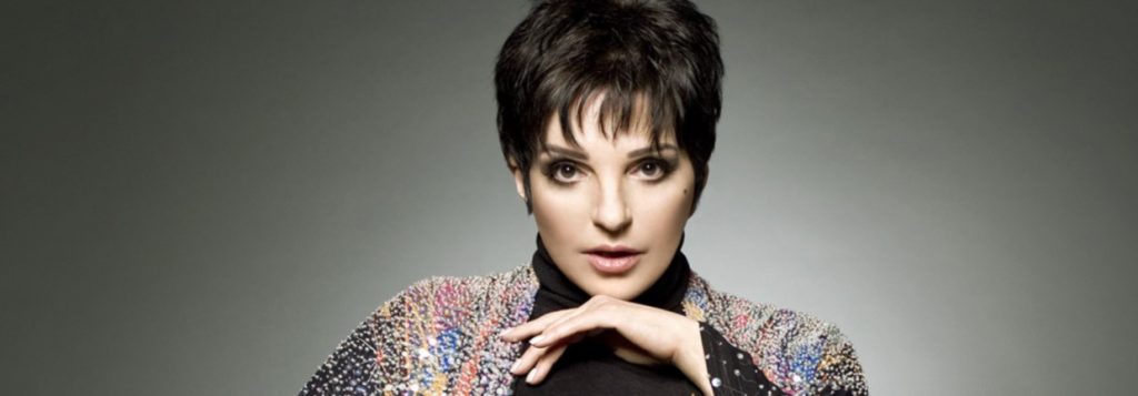 gasf-hall-of-fame-songbook-hall-of-fame-honorees-liza-minnellihero