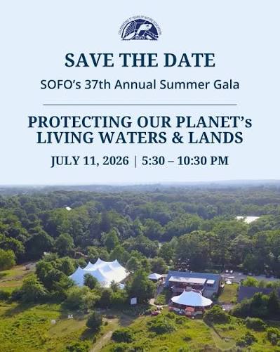 SOFO Event Invite
